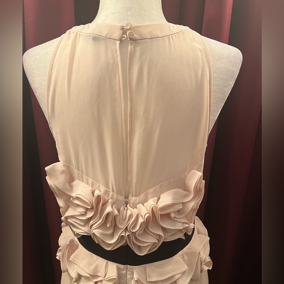 Stunning Cocktail Dress - Picture 4 of 5